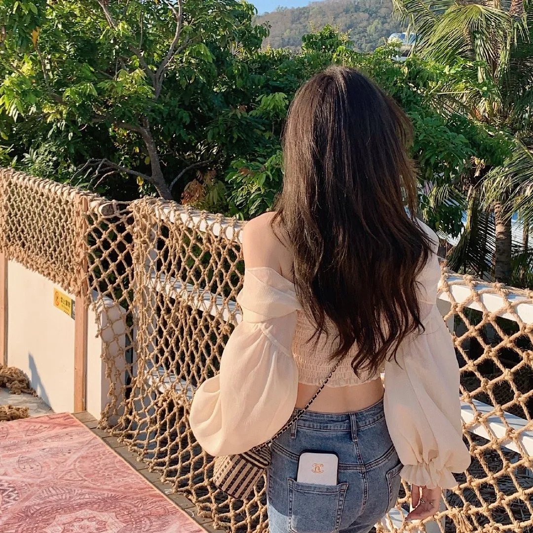 蜘蛛与郁金香 海报